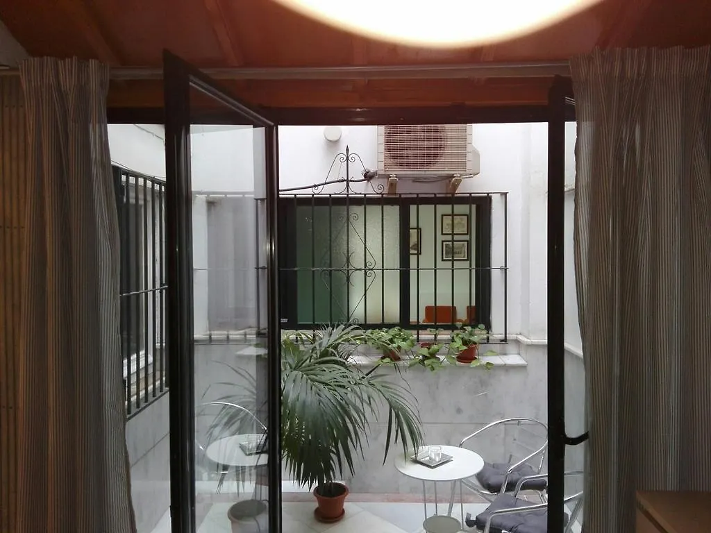 Centrico Apartamento Con Patio Privado Sevilla İspanya